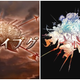 Illustration for article titled This Role-Playing Game Event Logo Sure Looks Familiarem/em
